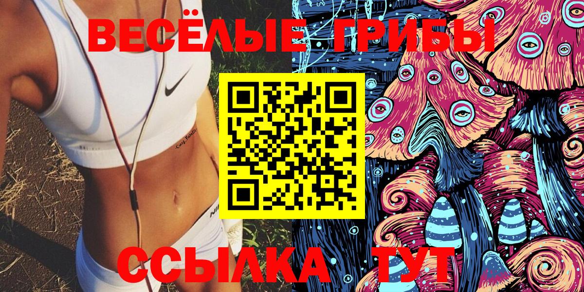 Псилоцибиновые грибы Cubensis  Вход с VPN  Ишим 